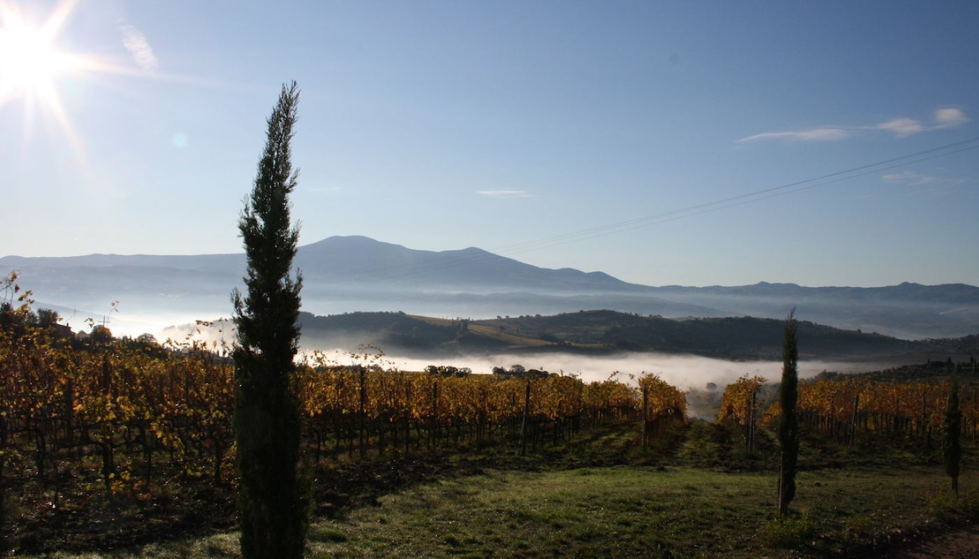 An autumn morning at San Polino, Montalcino
