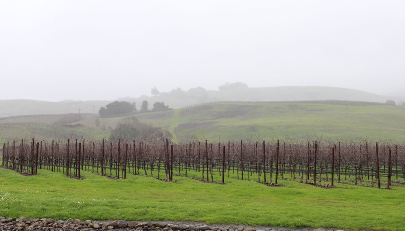 Gap's Crown Vineyard
