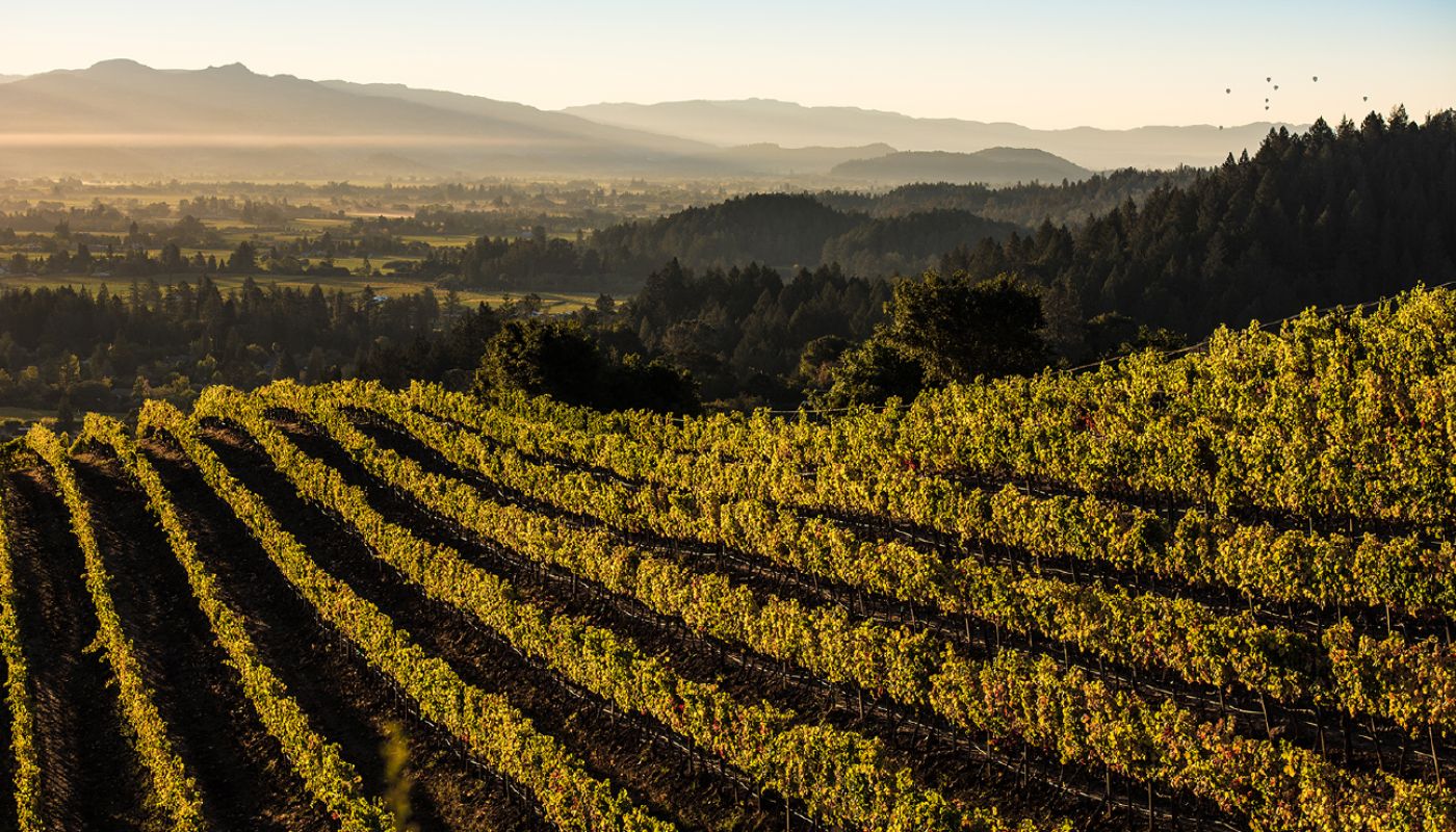 Napa Valley, picture credit: Bob McClenehan