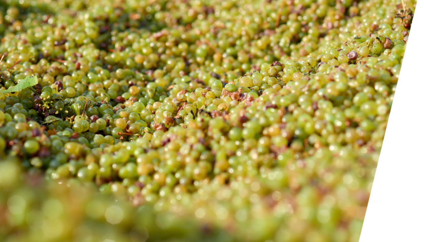 Domaine Aubert - late harvest Chenin grapes
