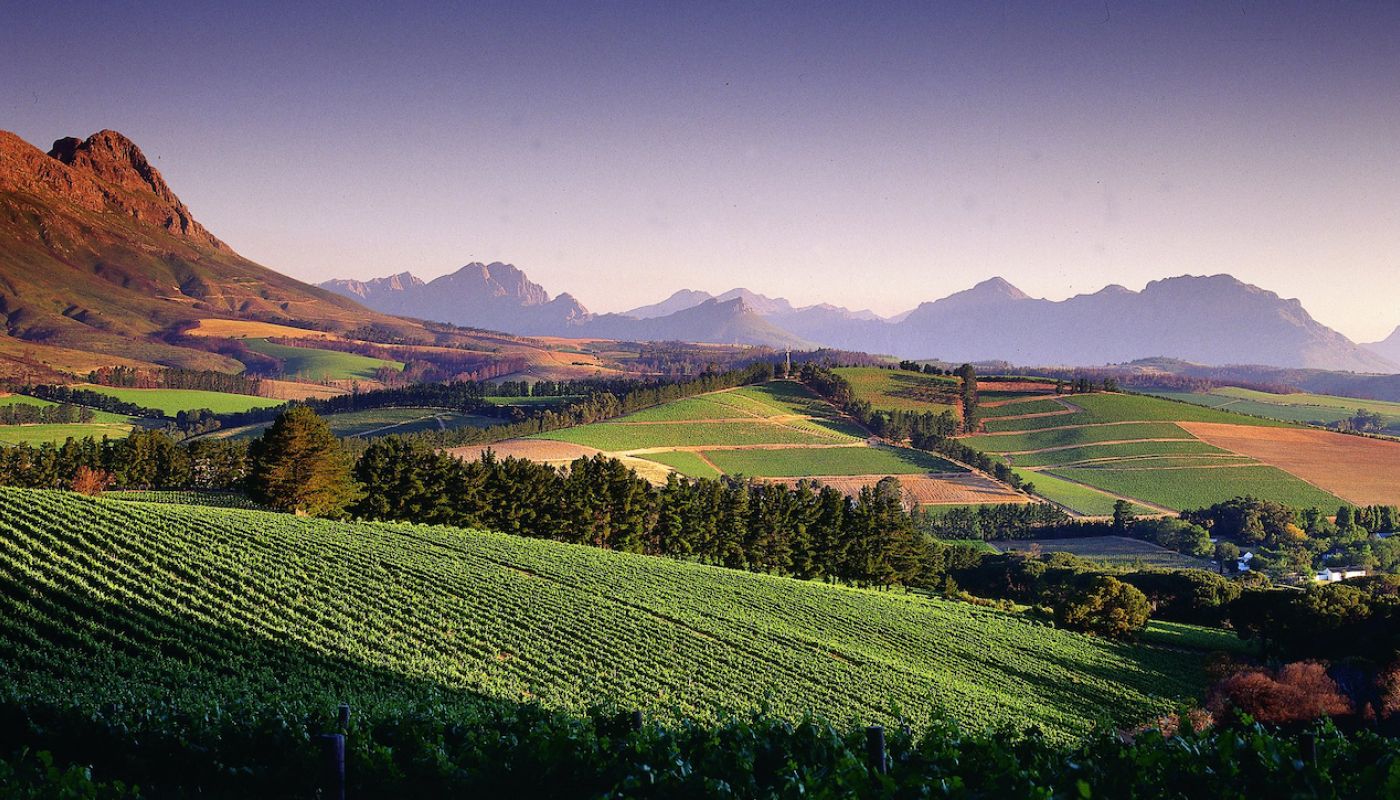 Warwick Estate in Stellenbosch