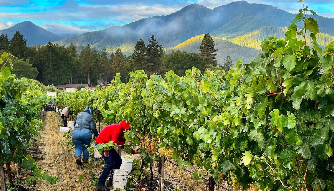 Troon vineyard in Oregon