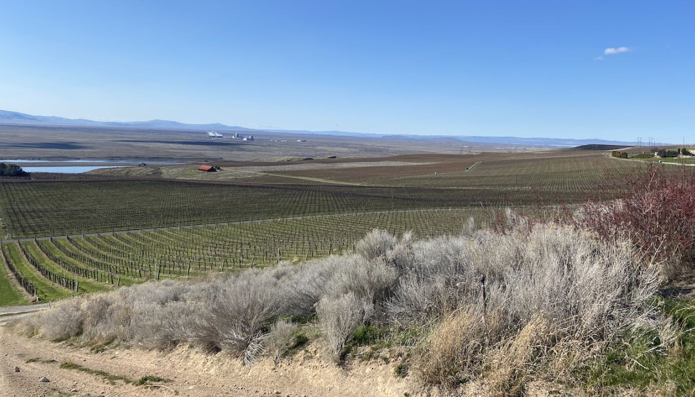 Sagemoor Vineyard in Washington
