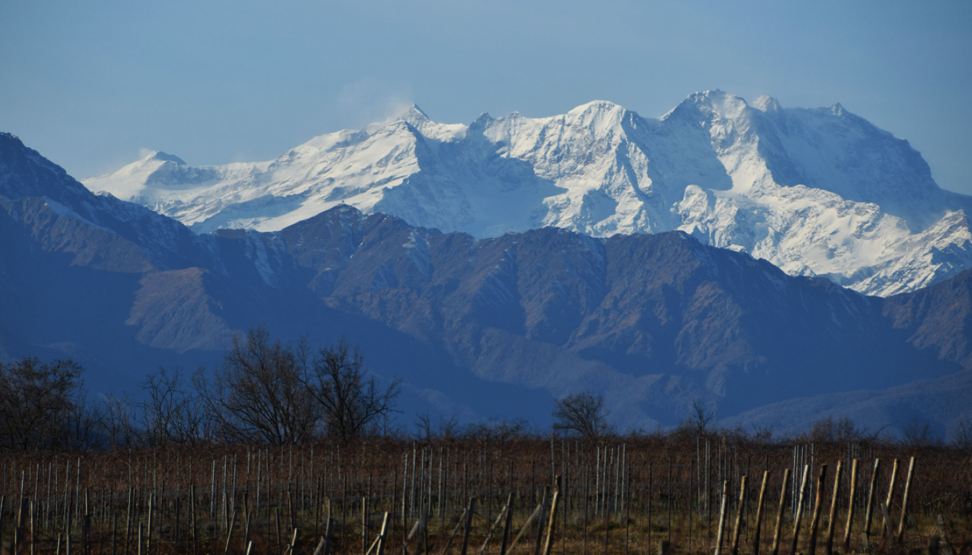 Vigneti Costacurta in Alto Piemonte