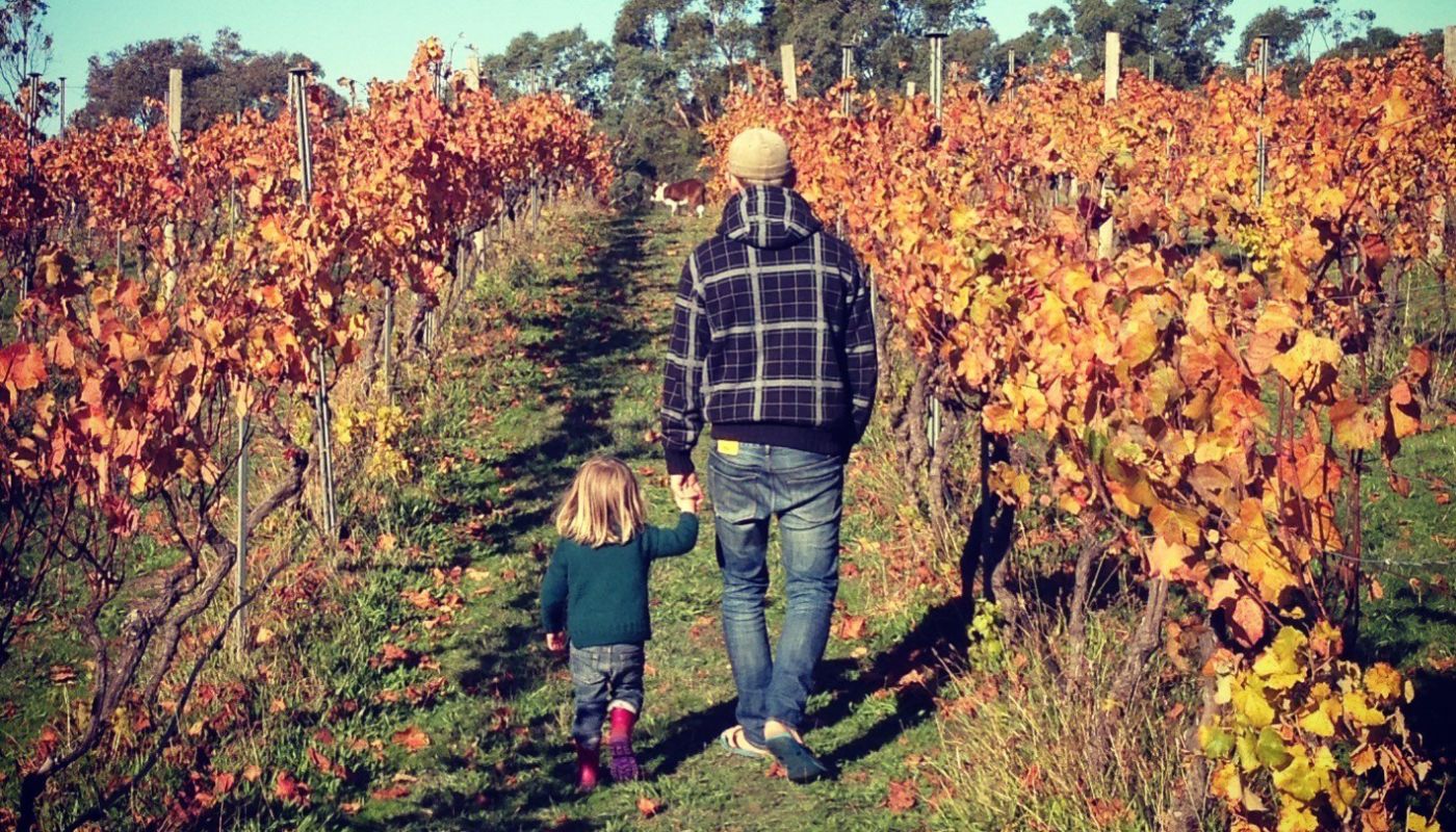 Wilimee kids' vineyard