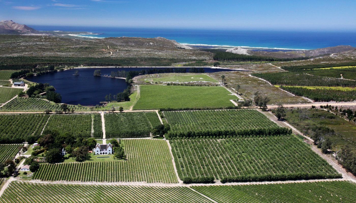Iona wine farm in Elgin, South Africa