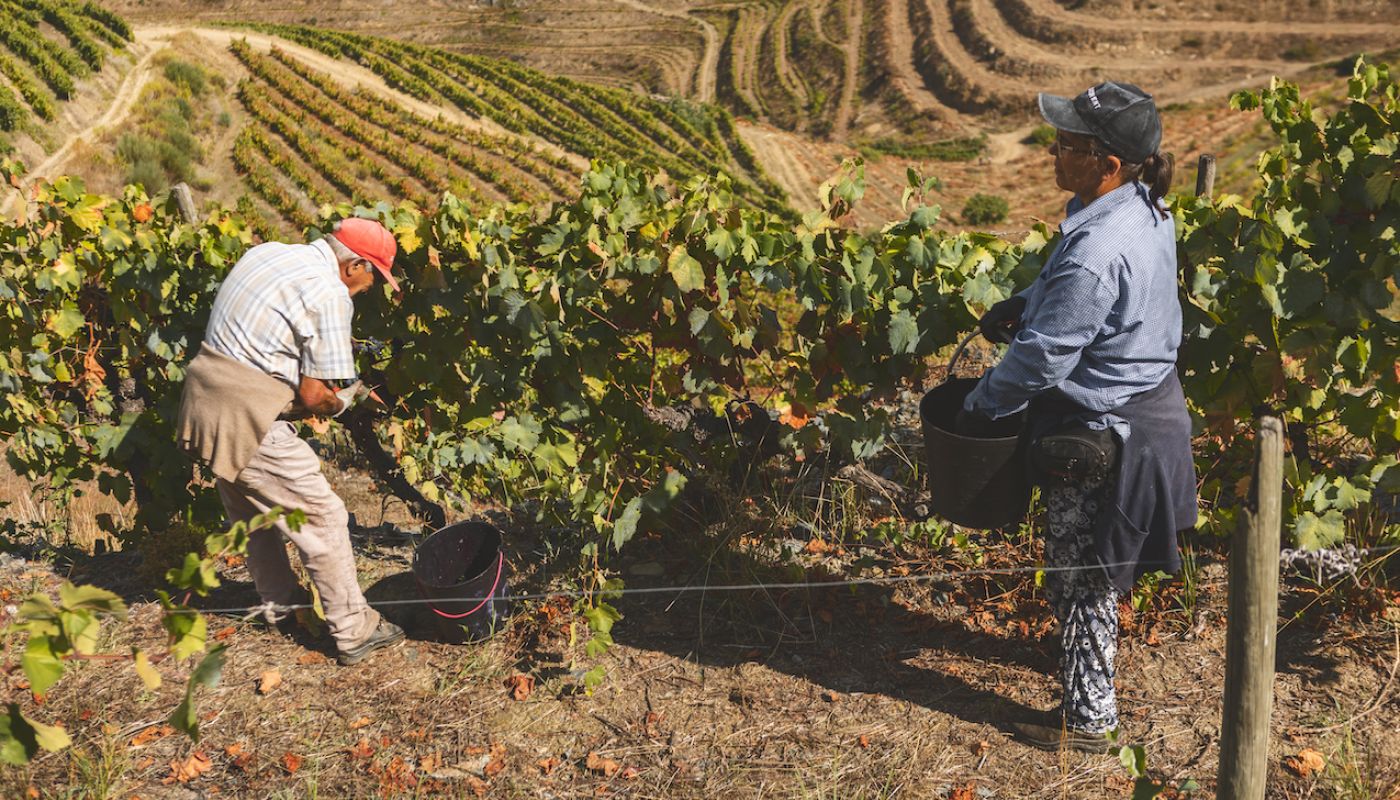Quinta do Caêdo in the Douro Valley
