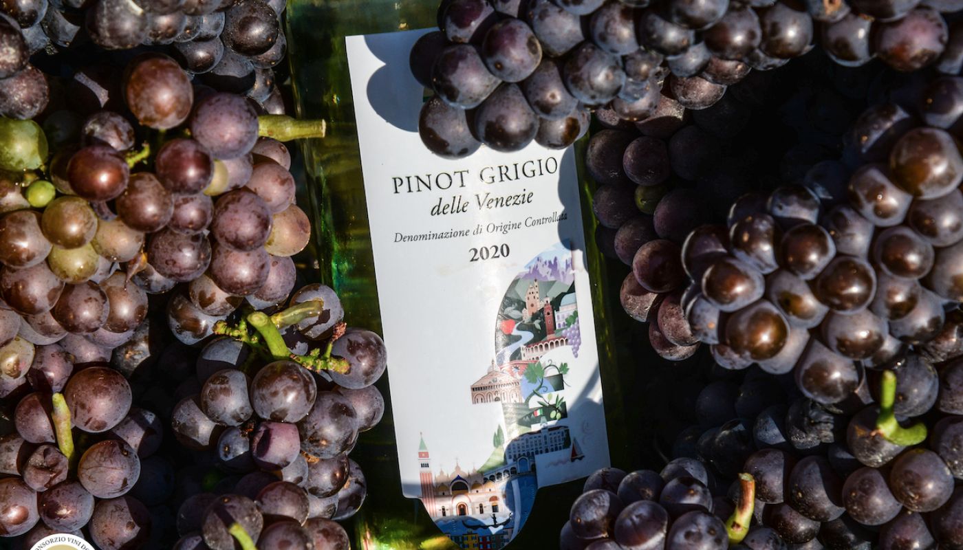Pinot Grigio grapes