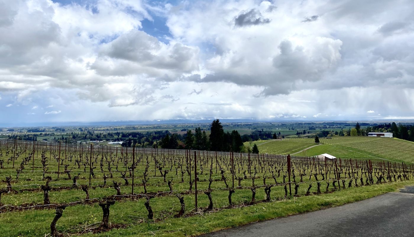 Dundee Hills view from Winderlea