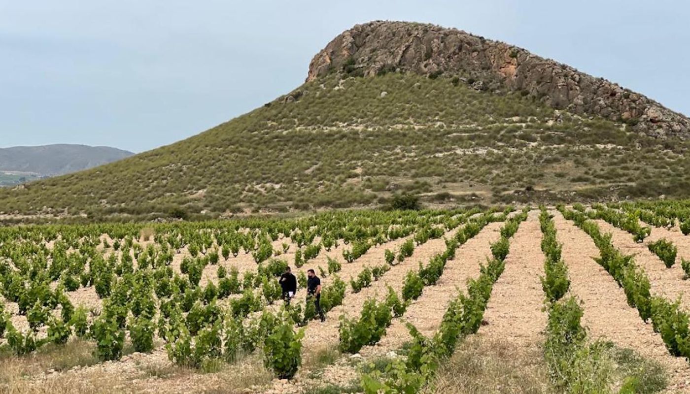 Jumilla landscape with Ferran in the distance
