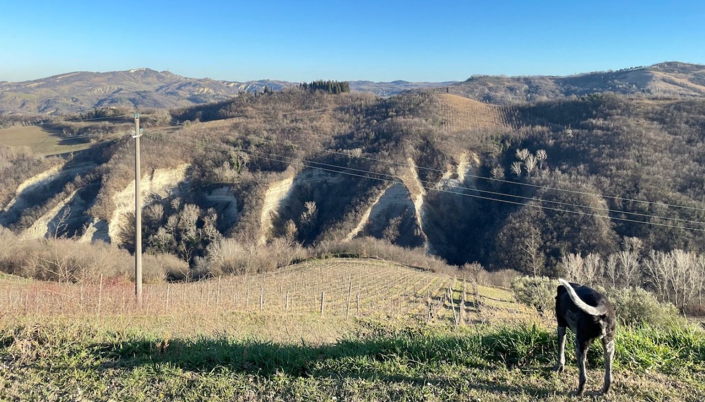 Mutiliana sandstone hills in Modigliana