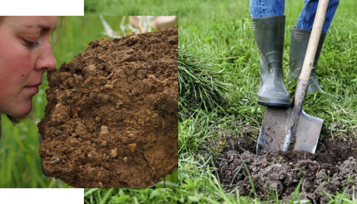 RVF our relationship with soil