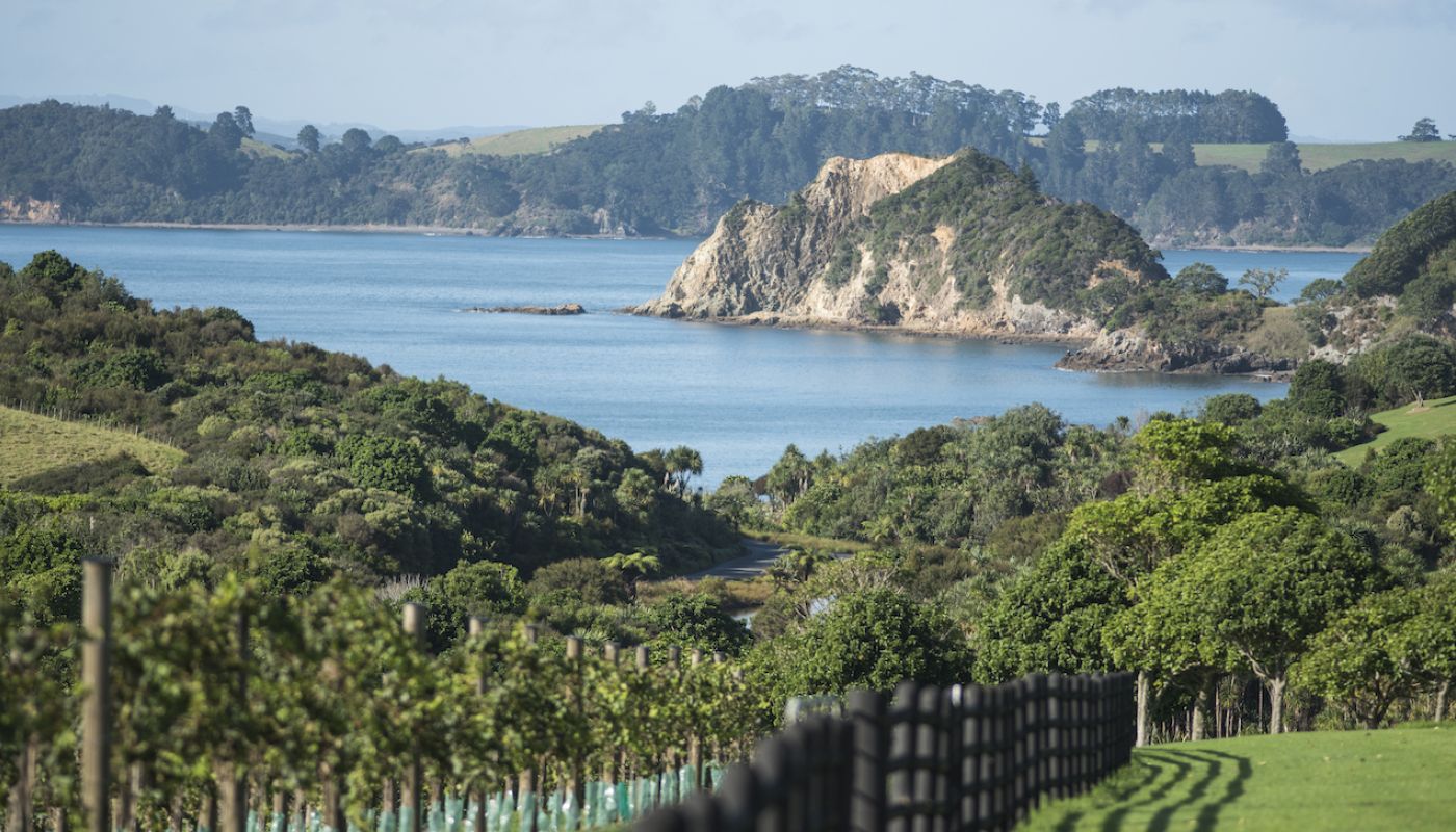 The Landing, Northland with vines