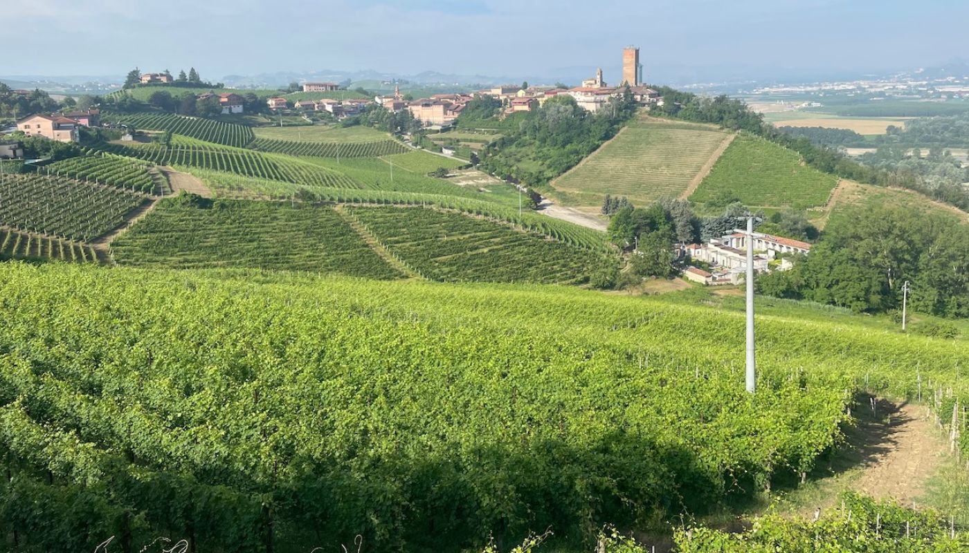 Barbaresco from Ovello