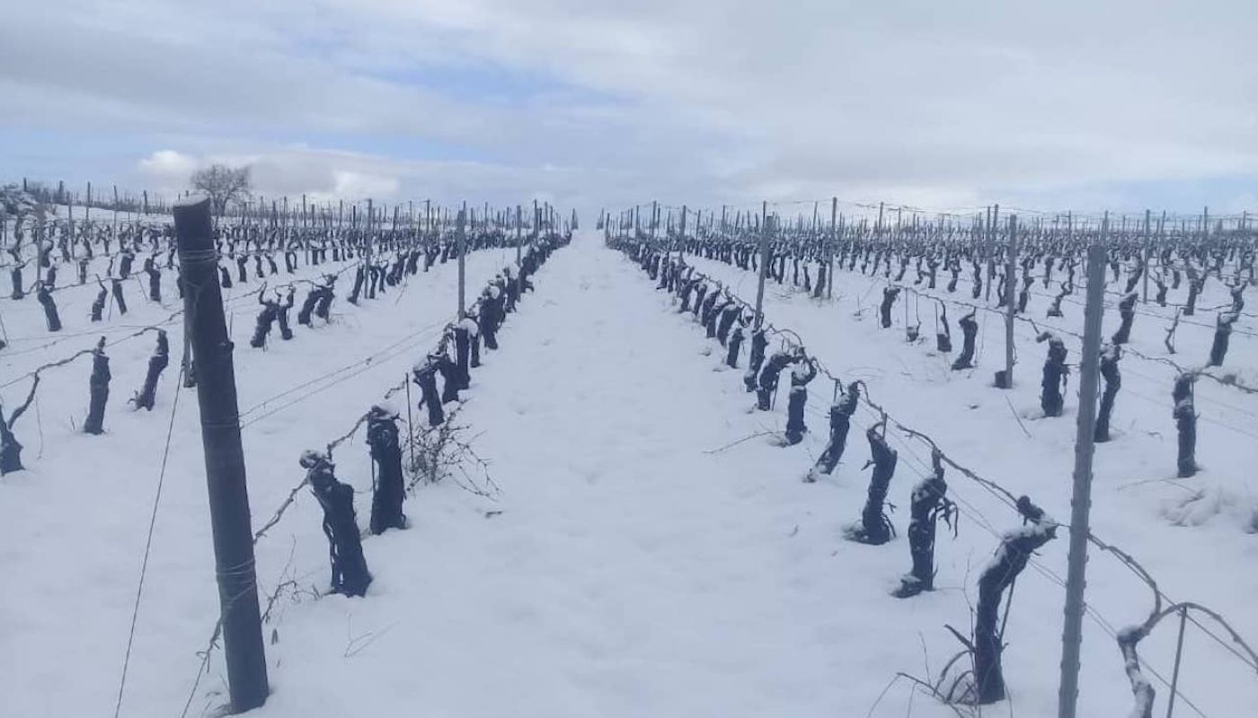 Winter at Bargylus