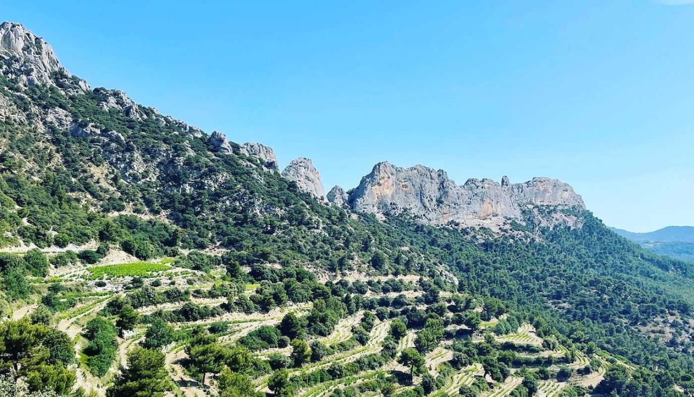 Dentelles de Montmirail with Gigondas vineyards