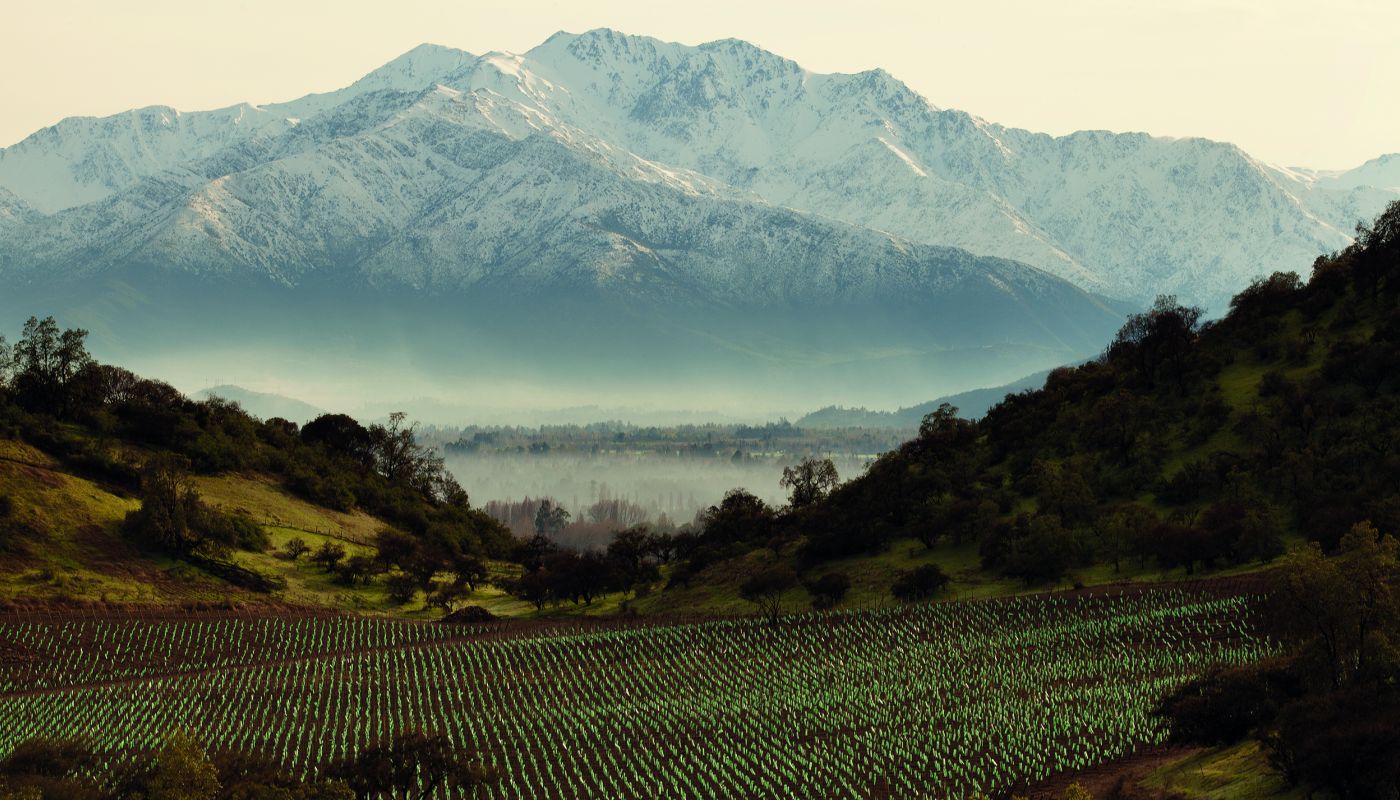 Santa Rita's Alto Jahuel vineyard
