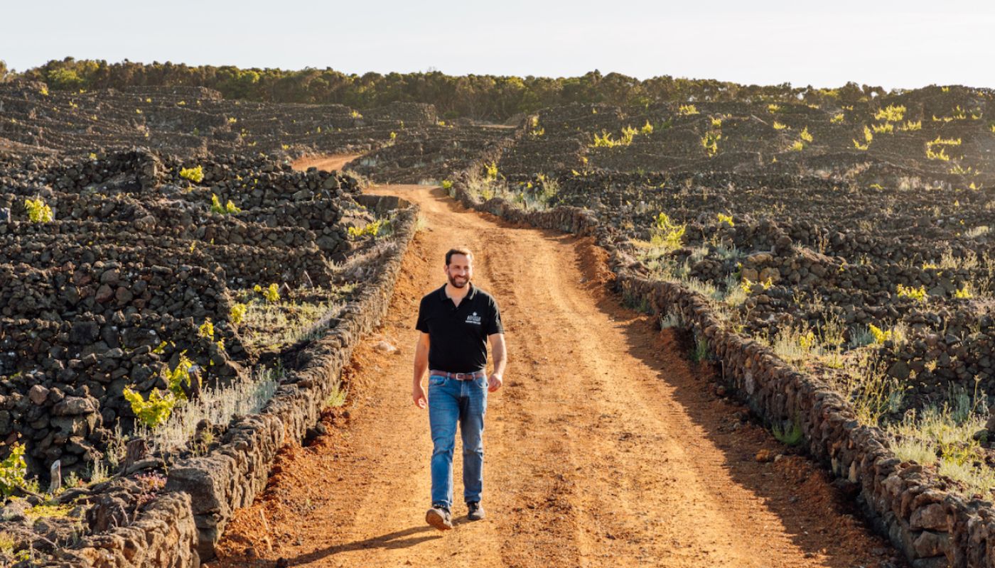 Antonio Maçanita in Pico vineyard