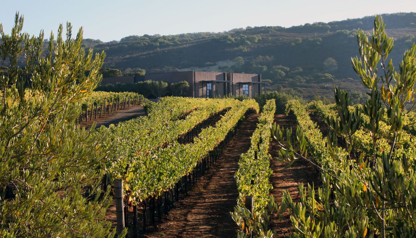 Continuum Estate winery