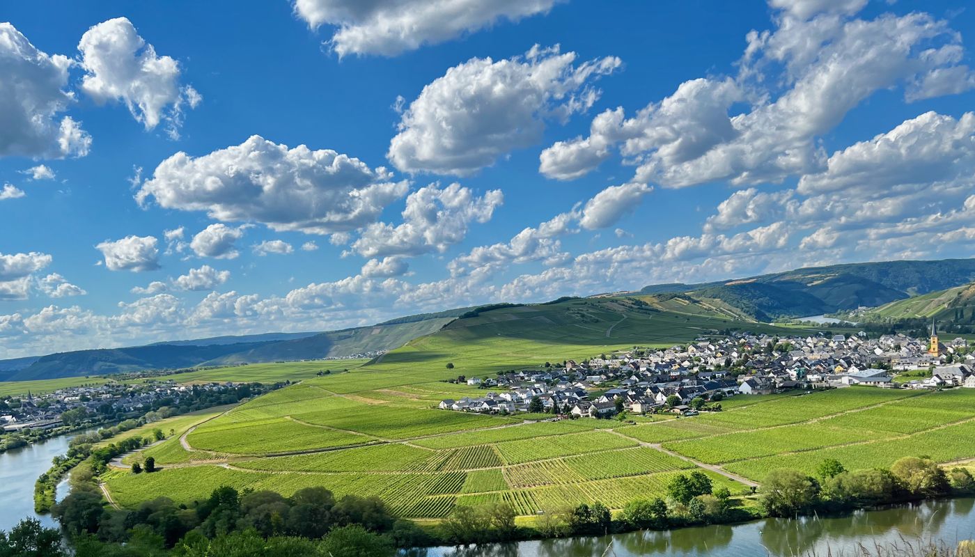View of the town of Trittenheim from the Trittenheimer Apotheke vineyard