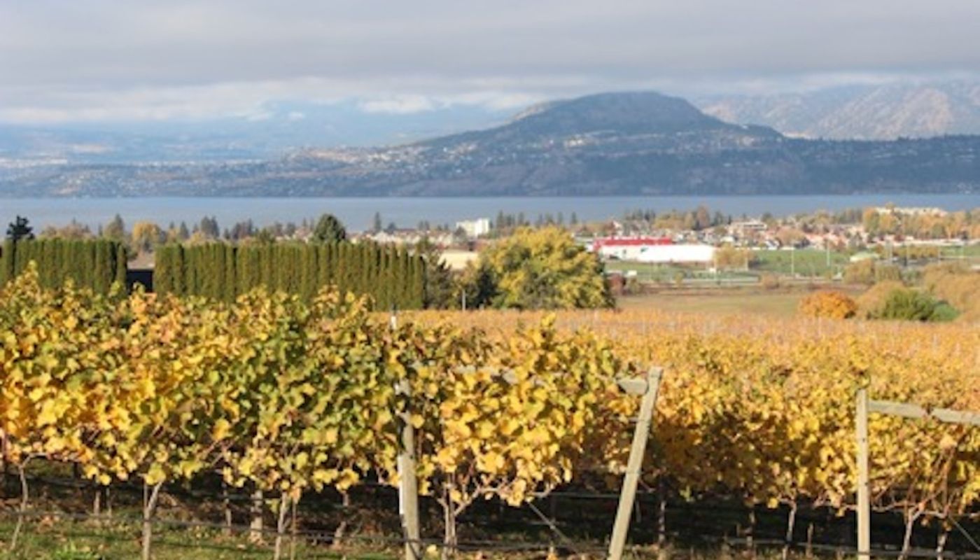 Tantalus Vineyards on my first visit September 2015