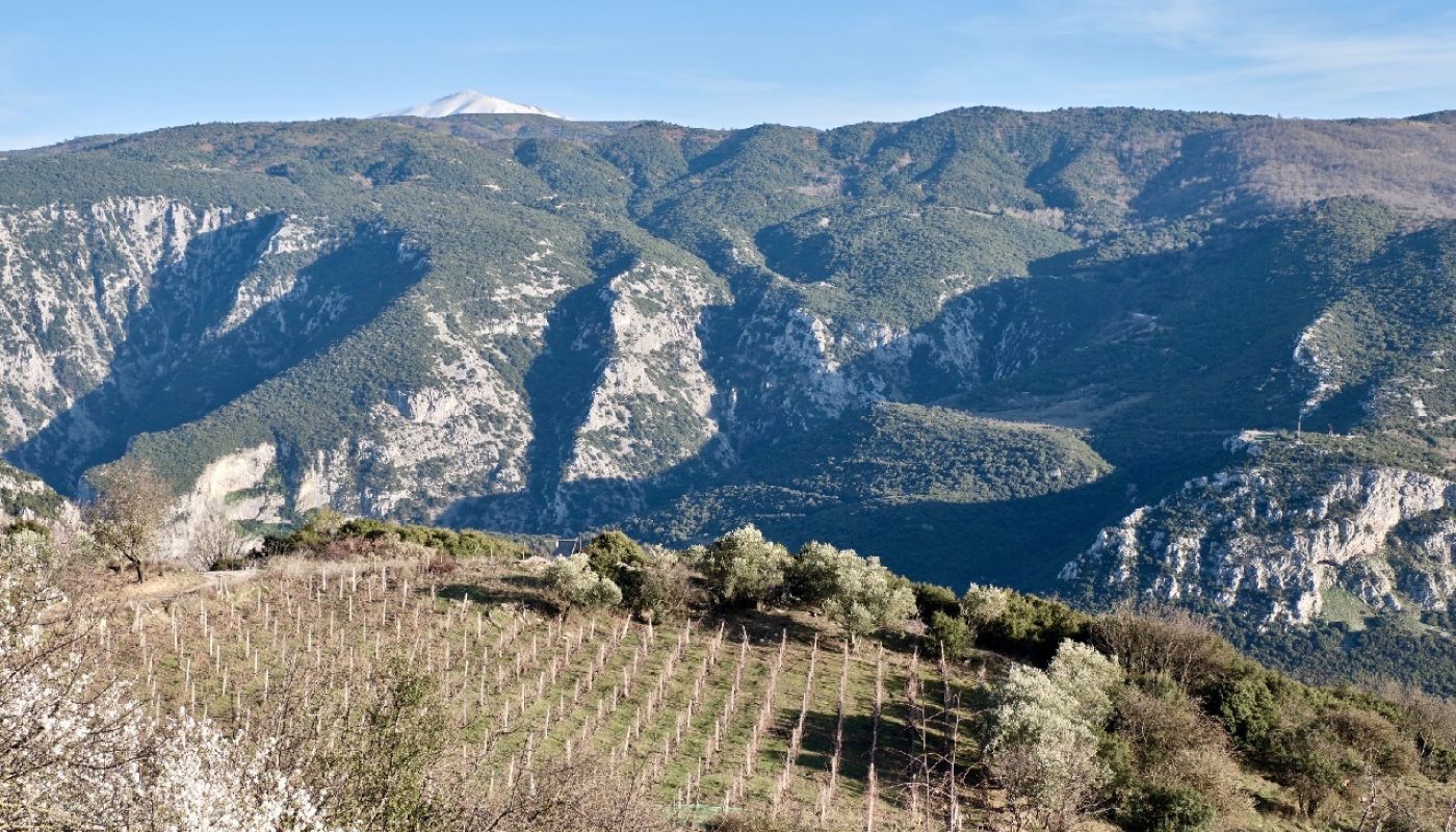 Rapsani