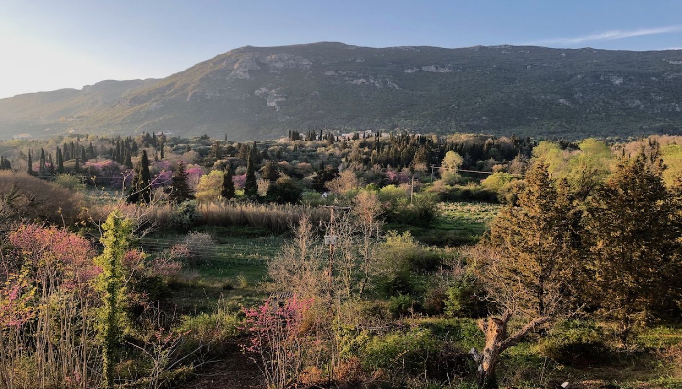 A spectacular view of the valley with the village of Scripero nestled in the foothills of Mount Pantokrator