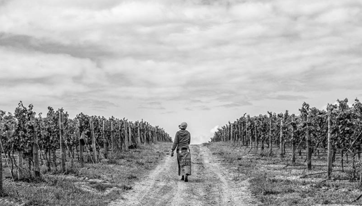 A Harvest Worker on Hamilton Russel Estate'