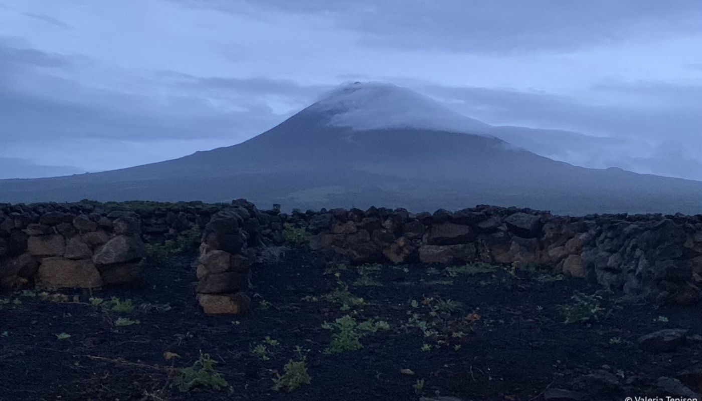 mount pico