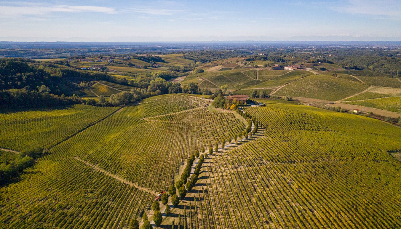 Broglia estate aerial view