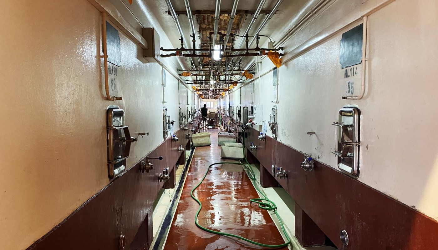 concrete fermentation tanks in Argentina