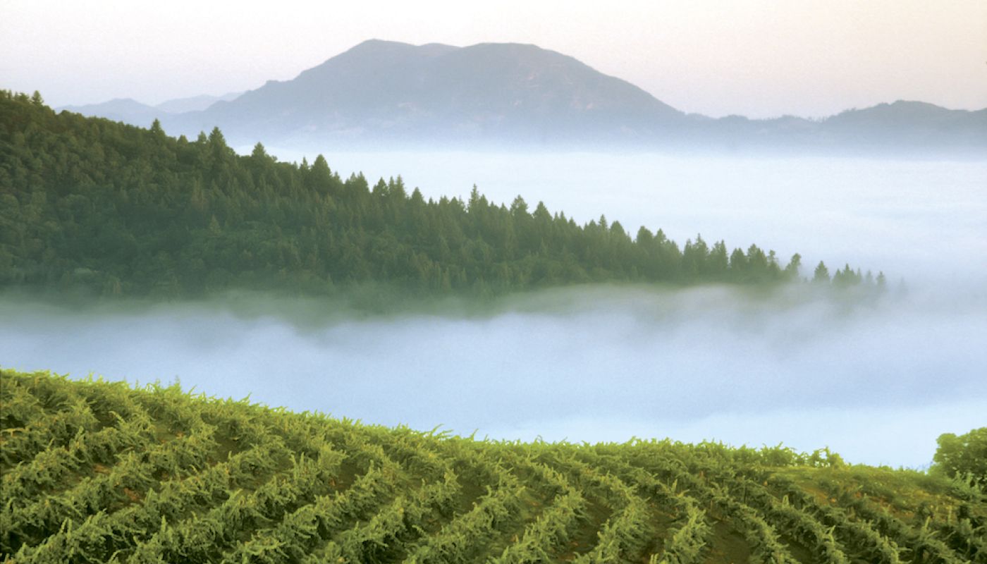 Smith-Madrone Vineyard