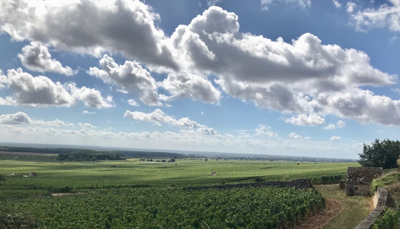 The view from Gevrey, over the Clos de Beze, Chambertin and on towards Morey-St Denis