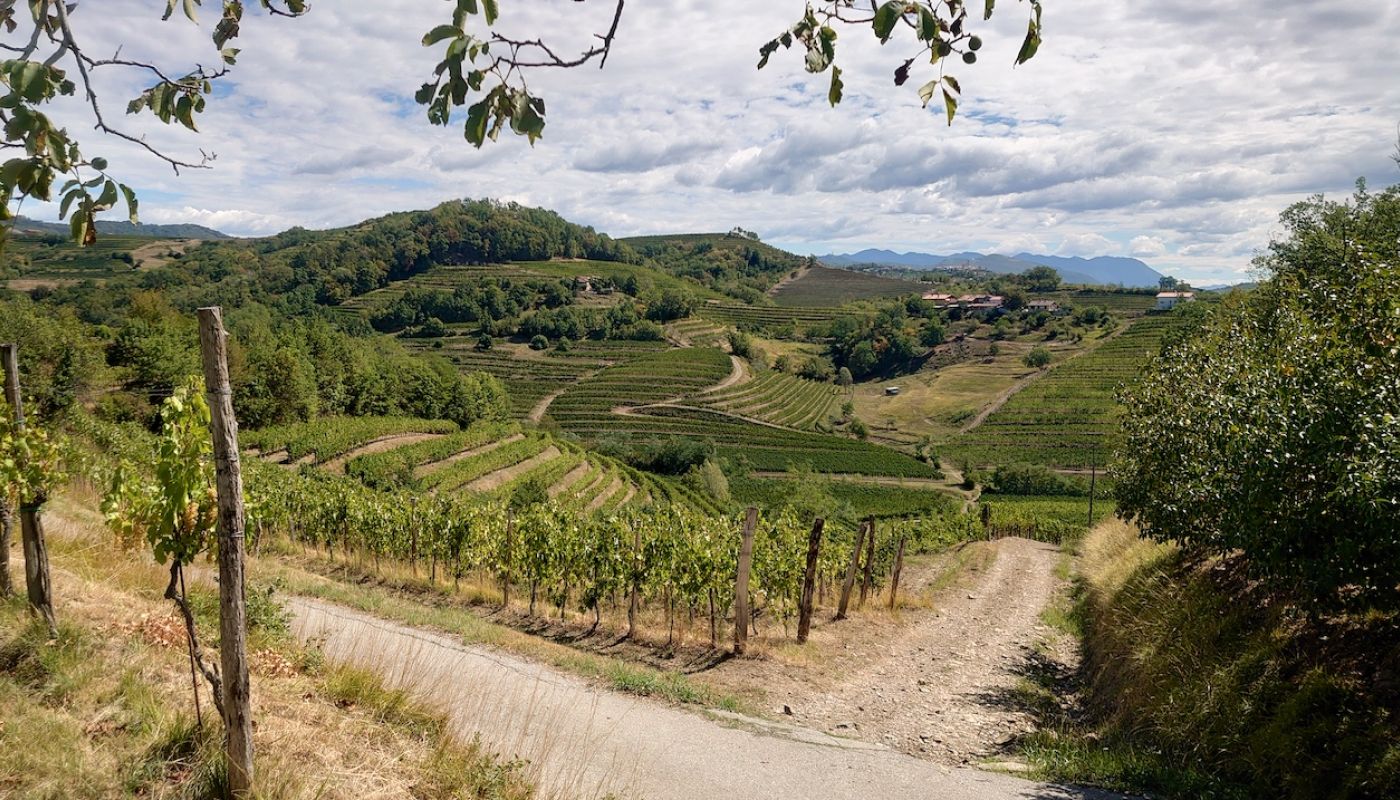 Brda landscape with terraces
