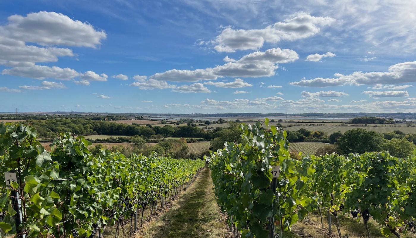 View of the Crouch Valley from Martin's Lane Vineyard
