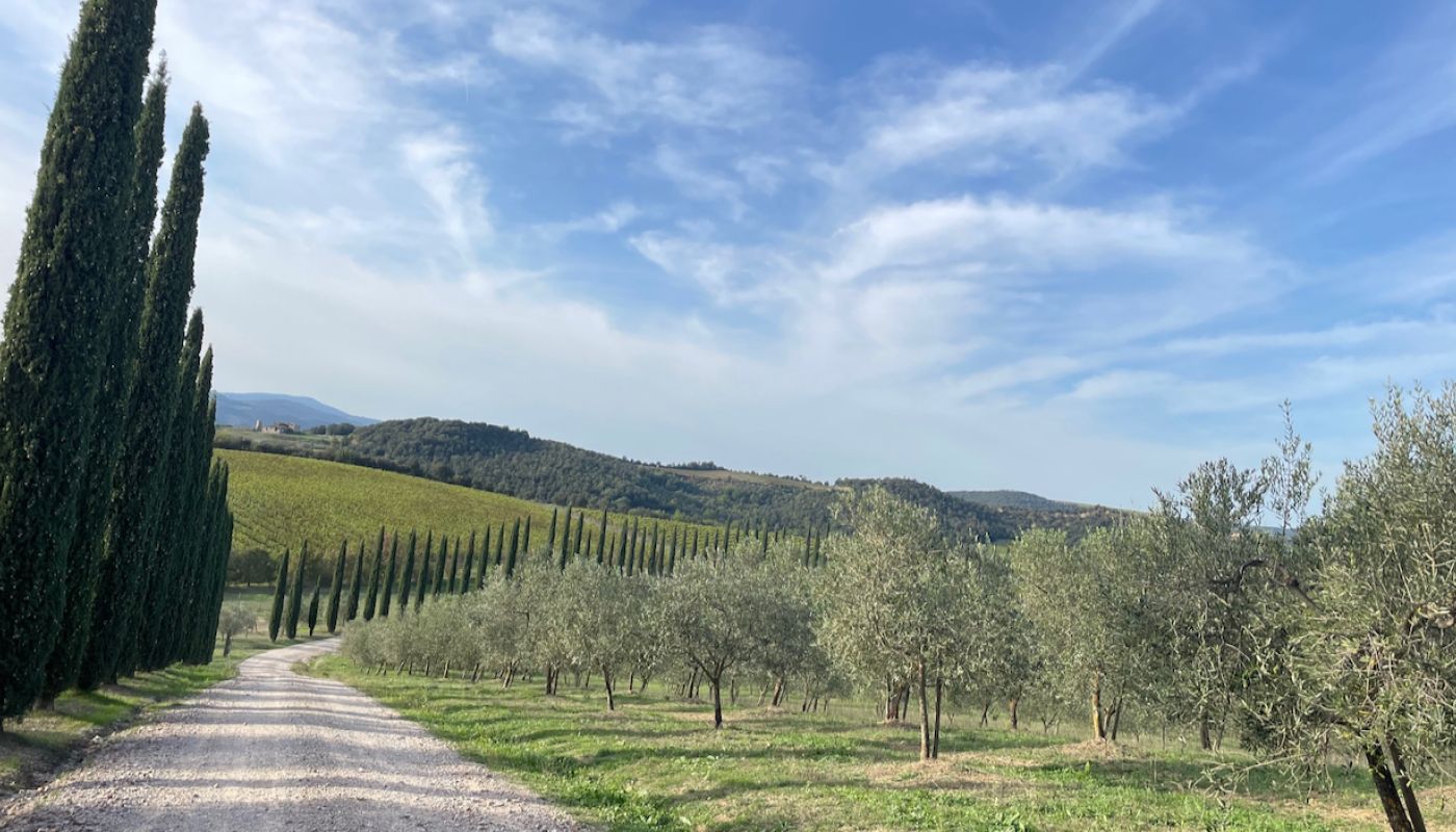 Cupano looking towards the cellar