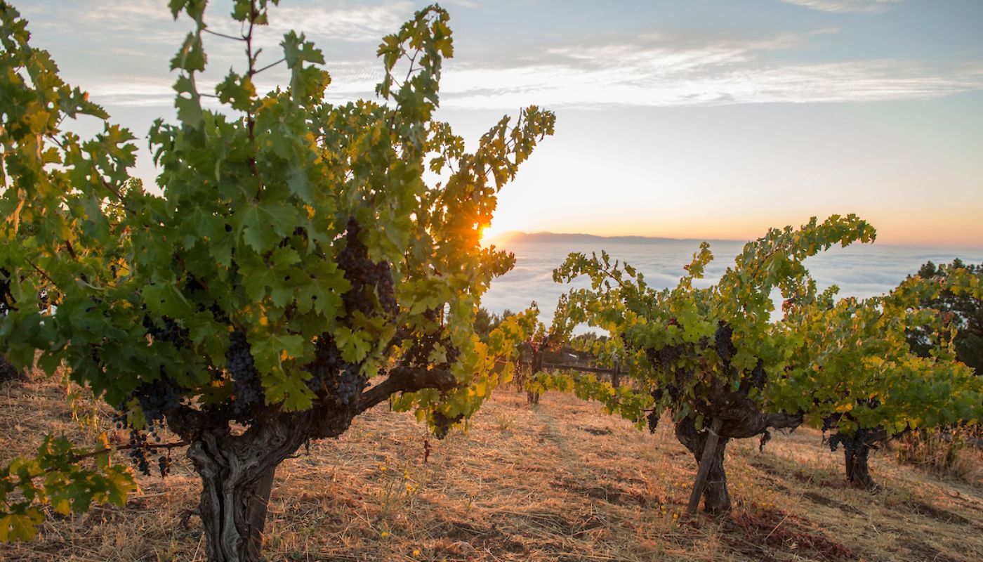 Monte Bello sunset