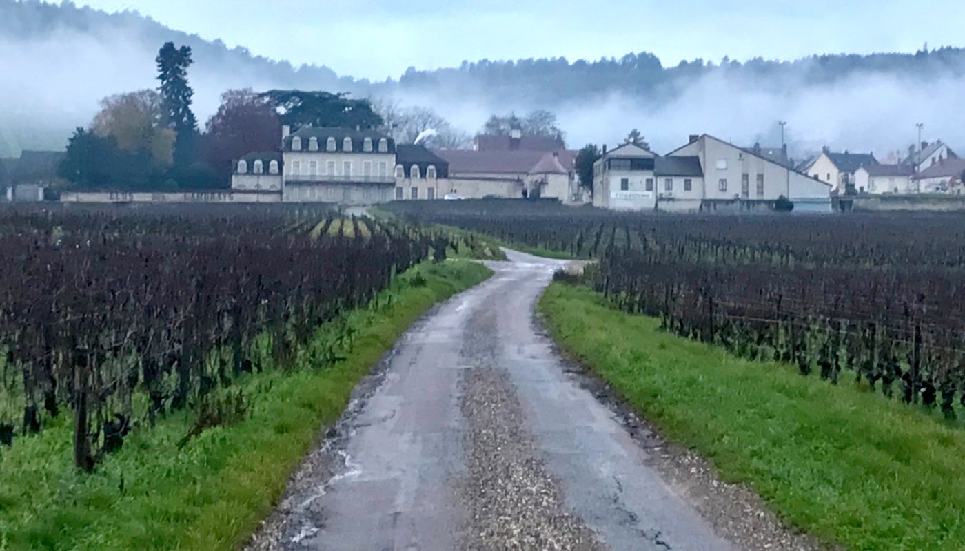 Misty Morey-St-Denis