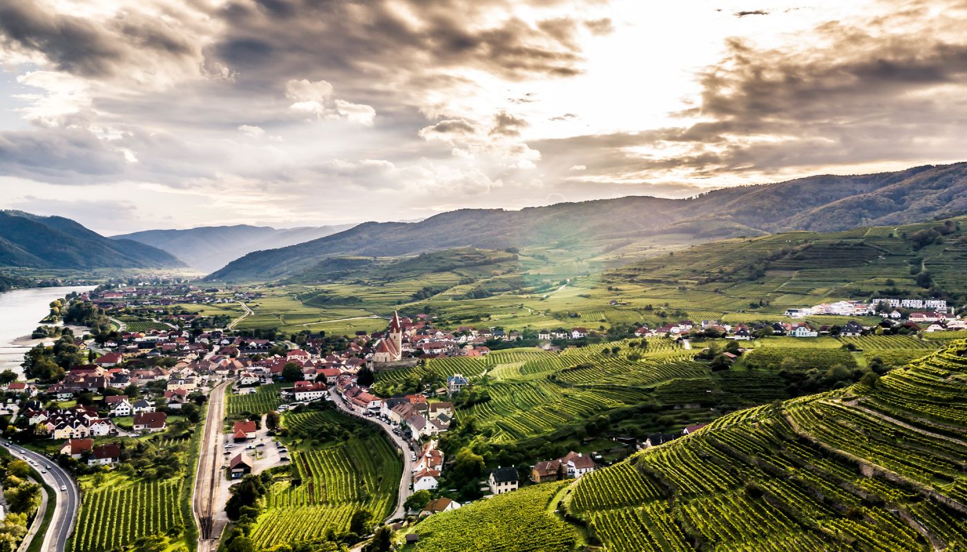 An aerial view of the Wachau's steep vineyards winding along the Danube.