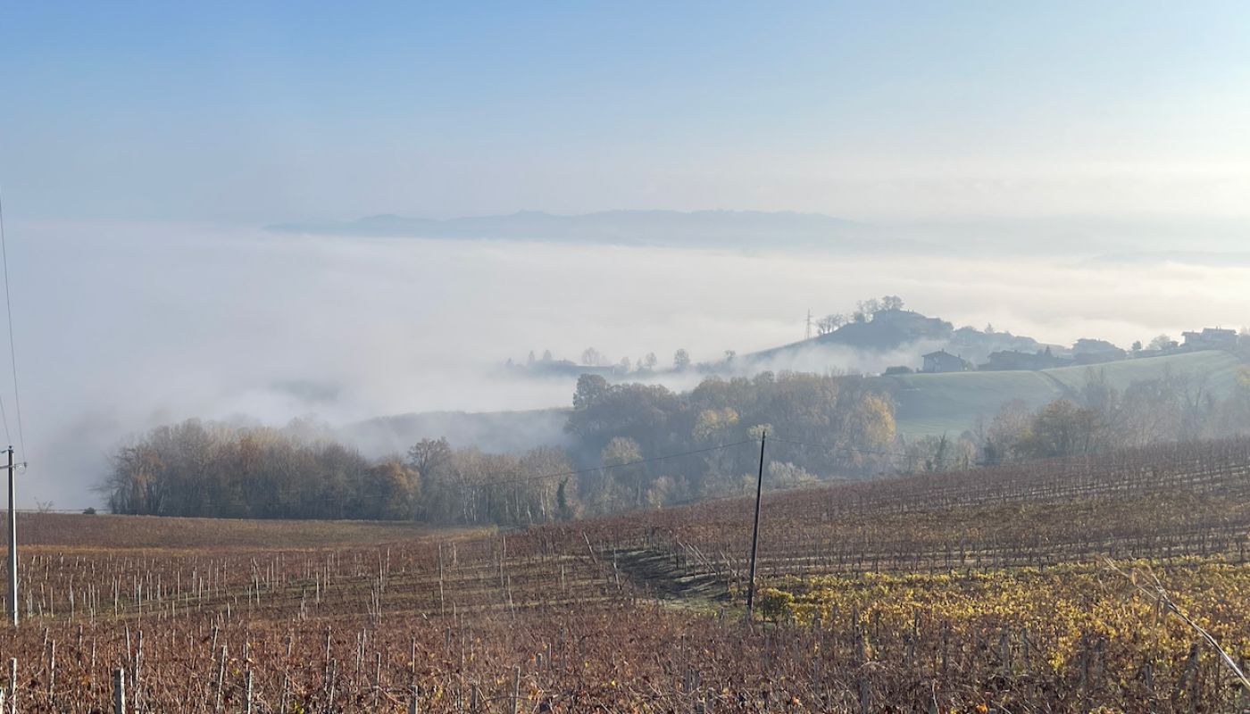 Barolo from La Morra