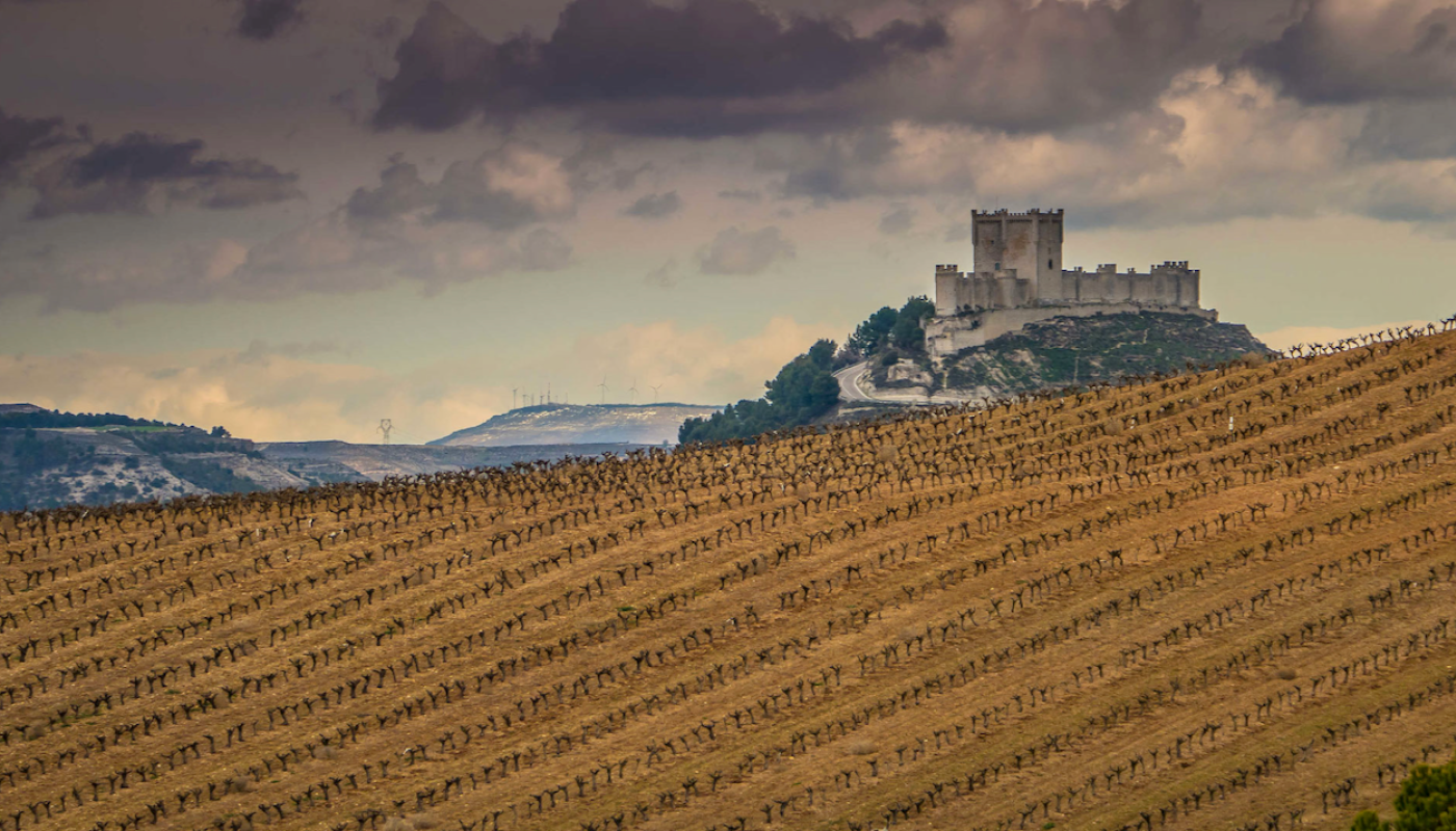 Ribera del Duero