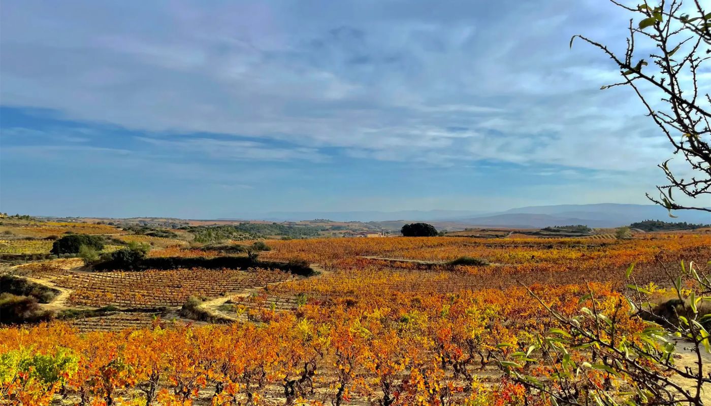 Bideona landscape