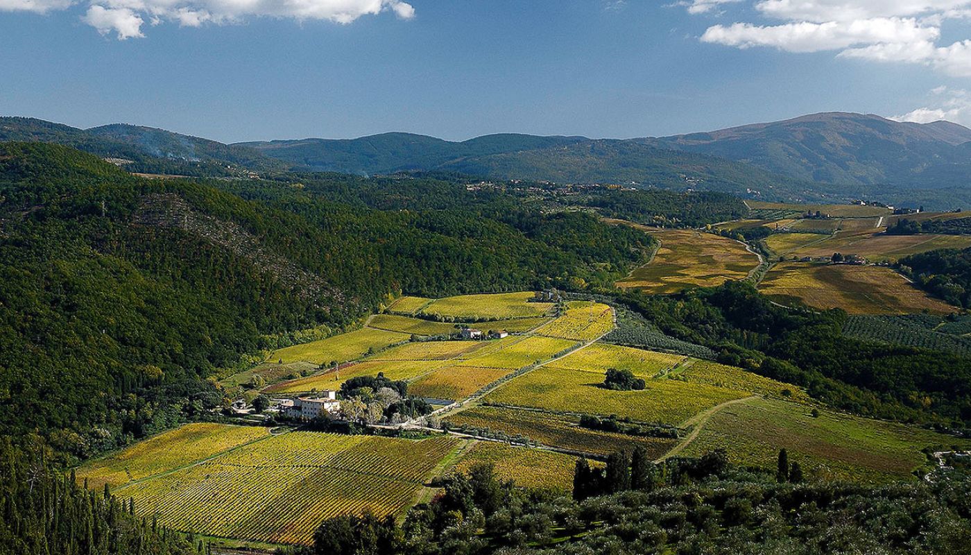 Selvapiana's Bucerchiale vineyard
