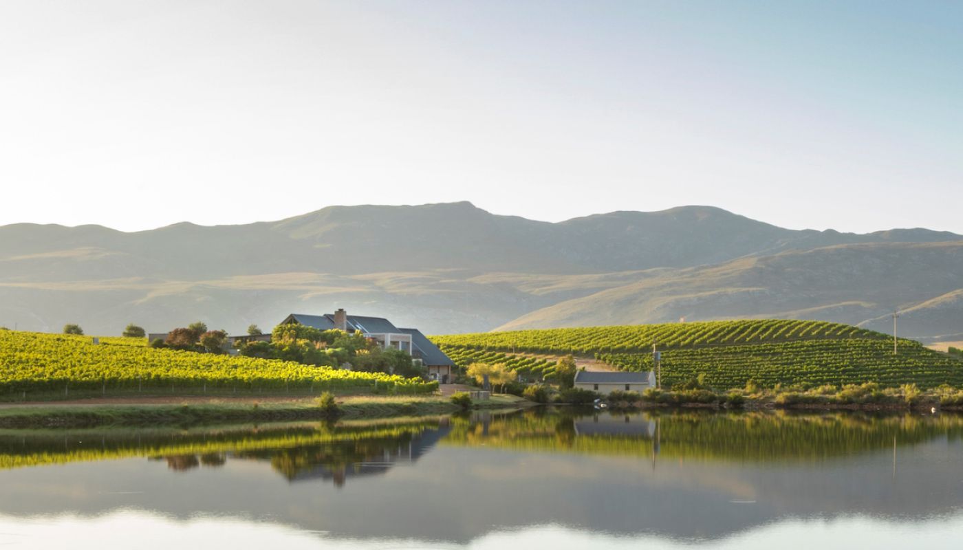 Creation winery and vineyards