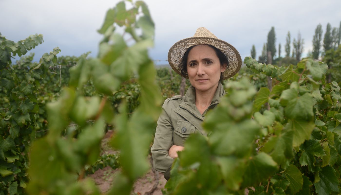 Dr Laura Catena in the vines
