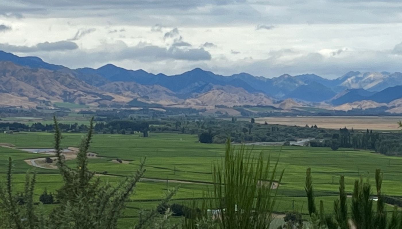 Marlborough monoculture under cyclonic cloud