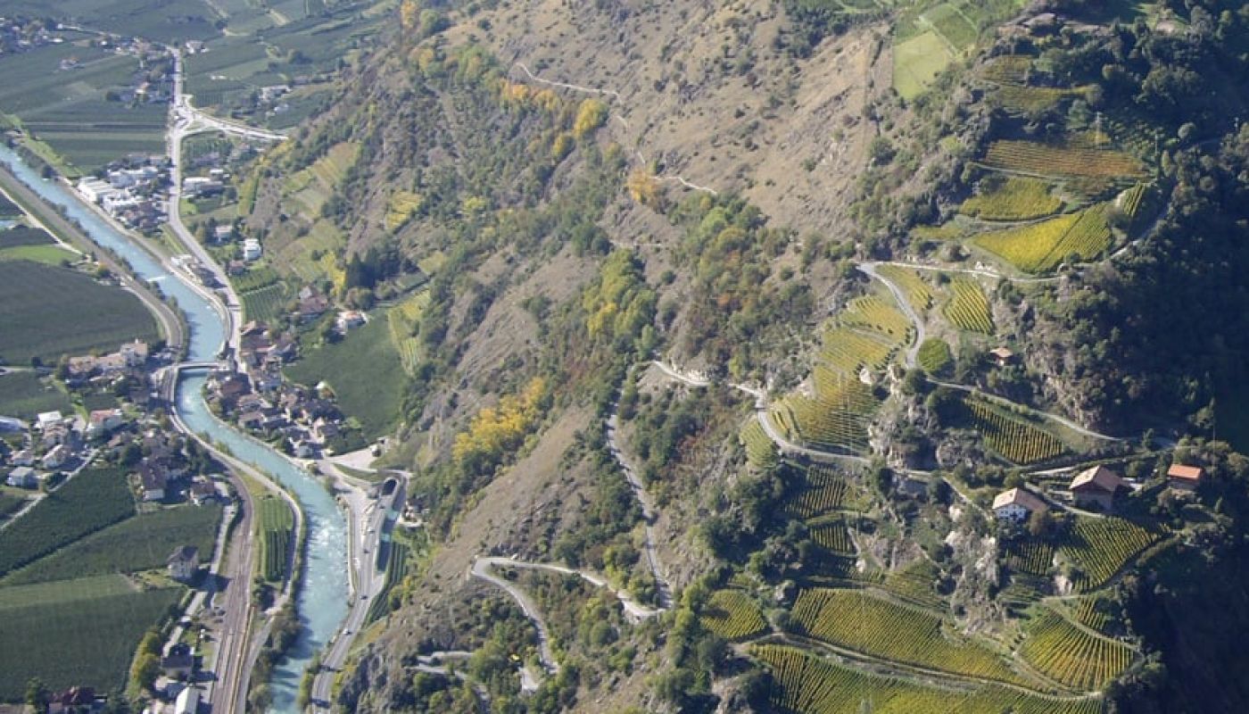 Castel Juval vineyards