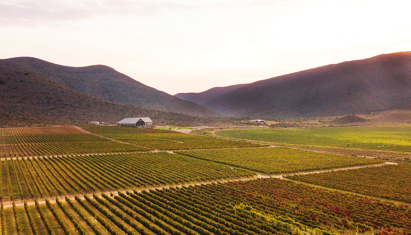 Coahuila winery