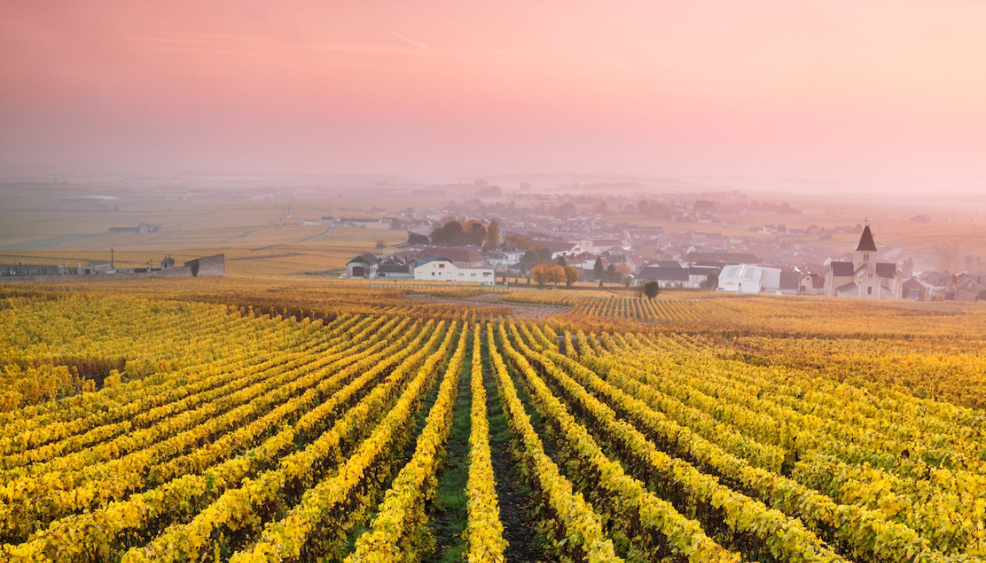 gettyimages-547082624-mesnil-sur-oger-Matteo Colombo