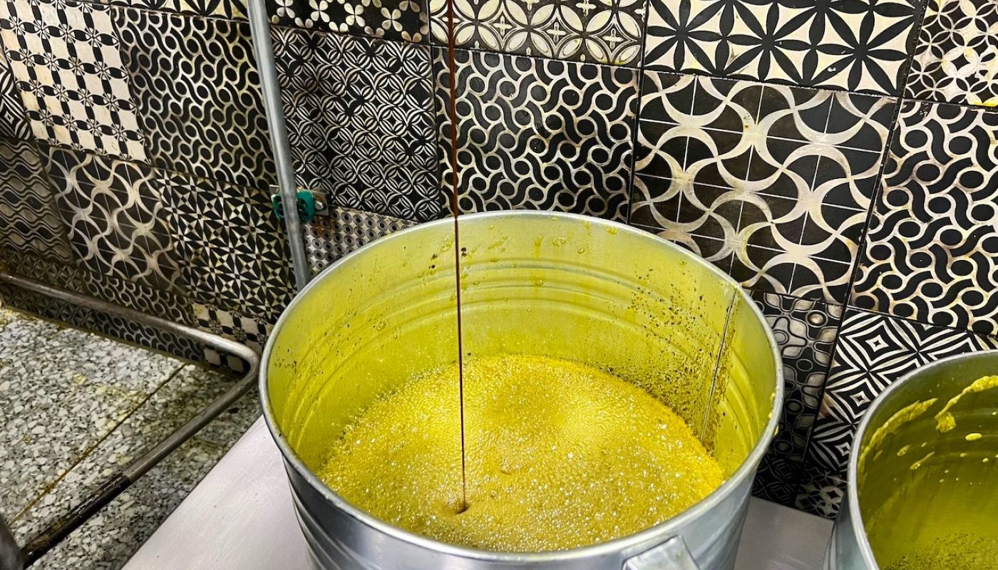 Kocbek - pumpkin seed oil coming out the press